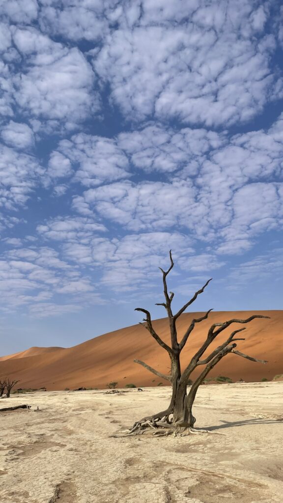 הנמדבר בנמיביה - טיול בהתאמה אישית