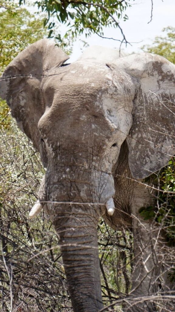 הקרבה לטבע מרגשת כל כך - תכנון טיולים בהתאמה אישית