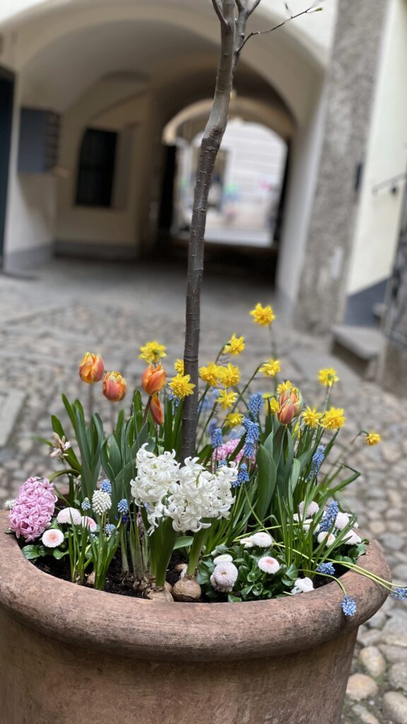 יופי ורומנטיקה באירופה הקלסית - תכנון טיולים מותאמים אישית