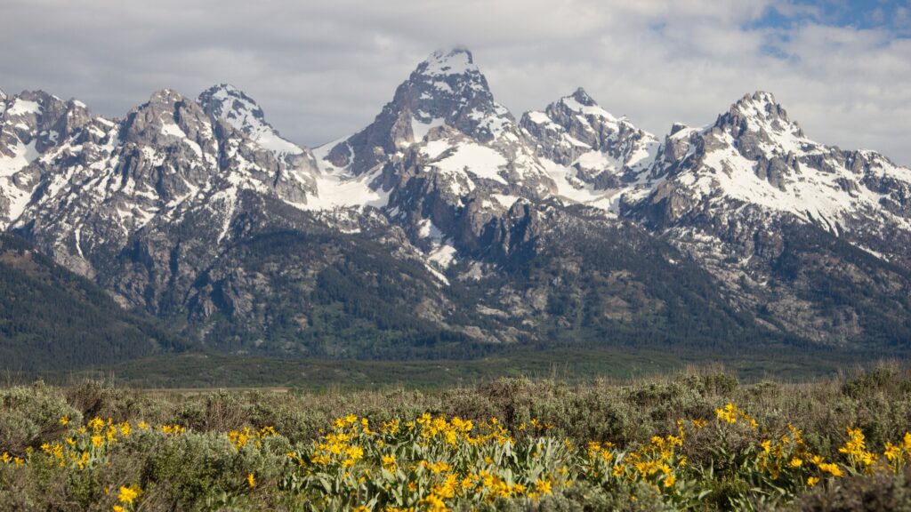 מסלול אישי למערב ארה"ב