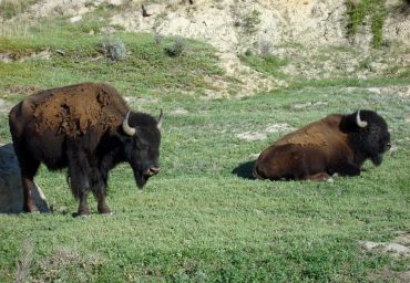 מסלול אישי בארץ מדהימה
