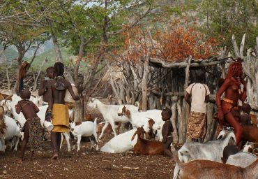 מפגש אישי עם השבטים