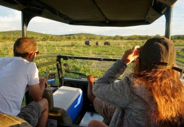 ספארי עצמאי מטורף