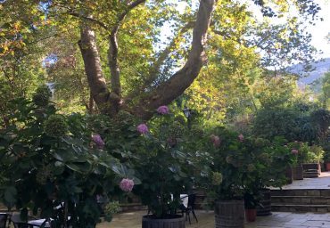 טיול עצמאי לצפון יוון דרך חצי האי פיליון